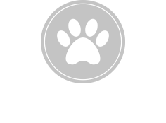 Hotel dla psów Wałbrzych